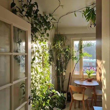 Privat bolig Paradise *